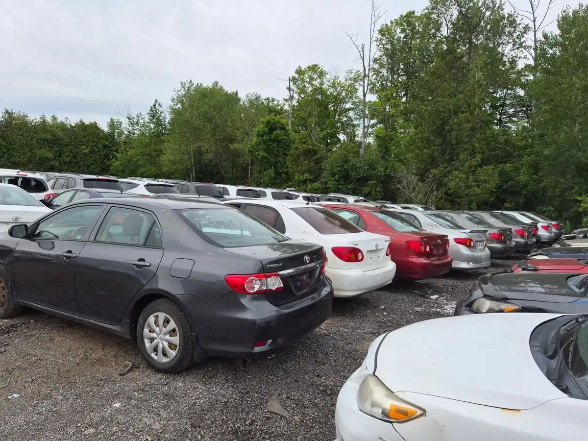 Cars at the GTA Auto Recycling yard in Clarington