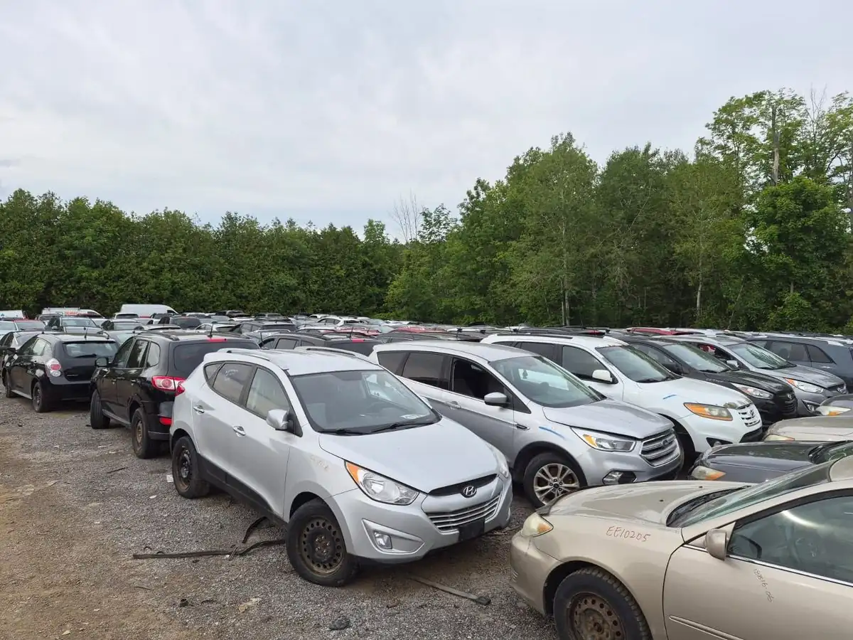 Cars at the GTA Auto Recycling yard in Clarington