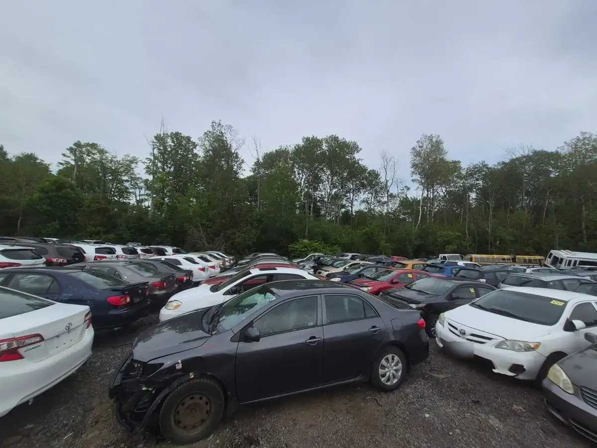 Cars at the GTA Auto Recycling yard in Clarington