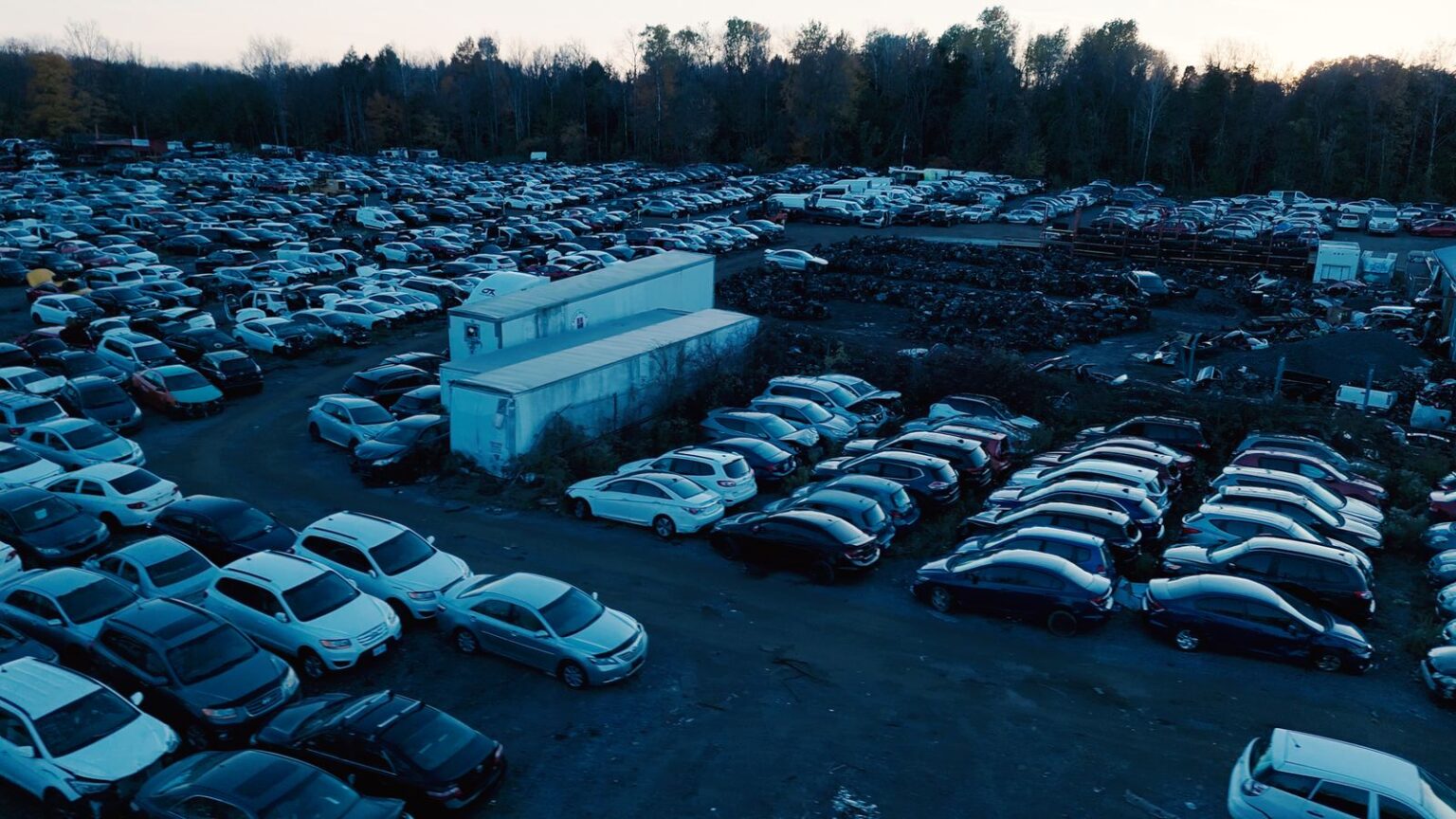 Cars and storage trailers in the GTA Auto Recycling yard in Newcastle, Ontario, with the tree line behind