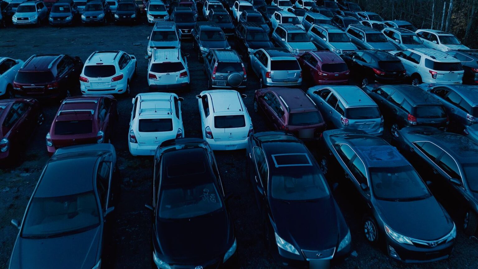 Rows of donor SUVs and sedans for used auto parts at GTA Auto Recycling in Newcastle, Clarington